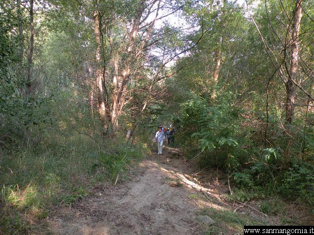 Foto 038